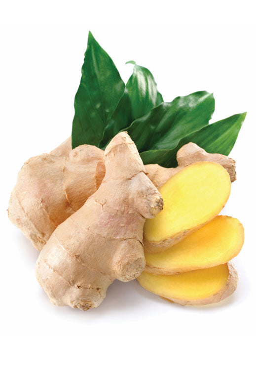 doTERRA Ginger Essential Oil