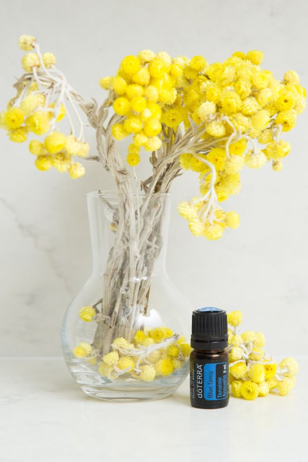 doTERRA Blue Tansy Essential Oil